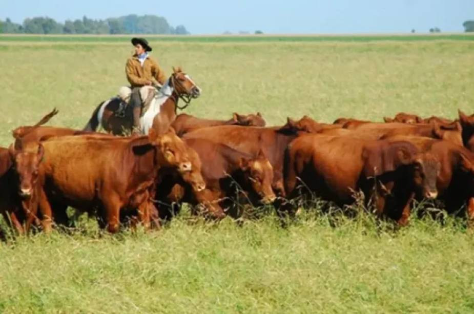 La Pampa asigna $55.000 millones en créditos para impulsar la producción y el agro