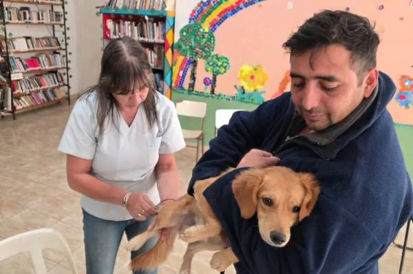 Operativo sanitario en Santa Rosa: inmunizaron a más de 400 mascotas contra la rabia
