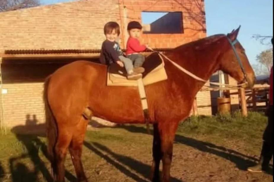 Condenaron a tres años de prisión en suspenso al responsable de matar y faenar al caballo "Tomasito"