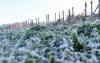 La semana comenzó y seguirá con frio